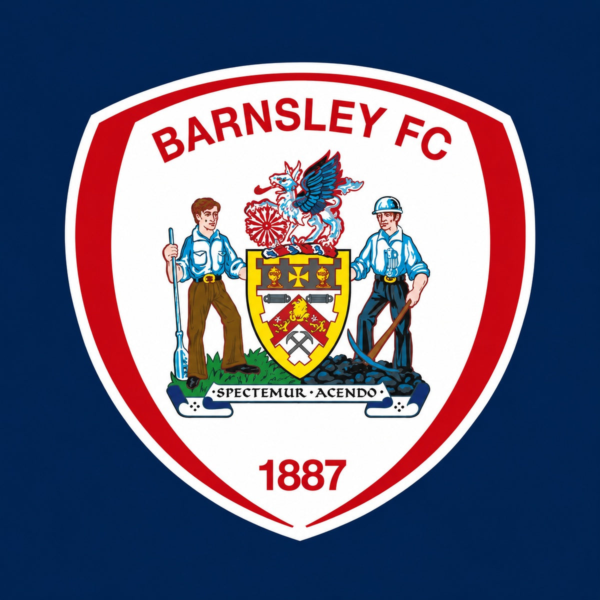 Barnsley Foundation Starter Pack
