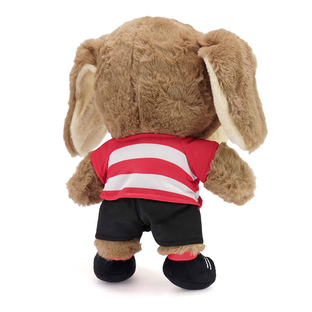 Doncaster Rovers Donny Dog 12" Plush