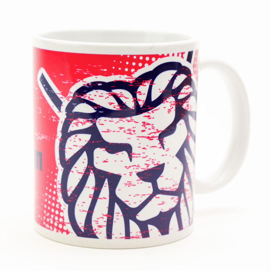 GB Ice Hockey Distressed Mug