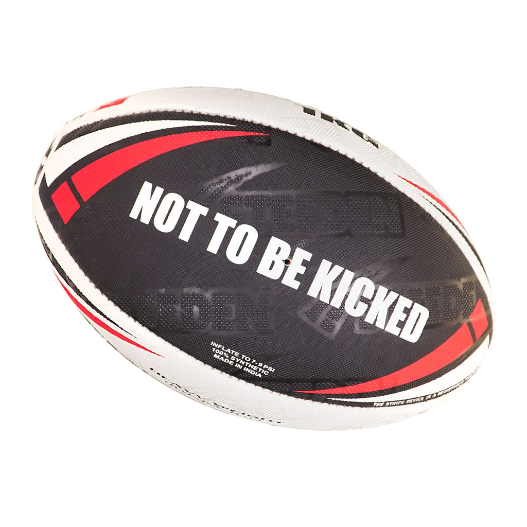Titan Heavy Weight Trainer Ball